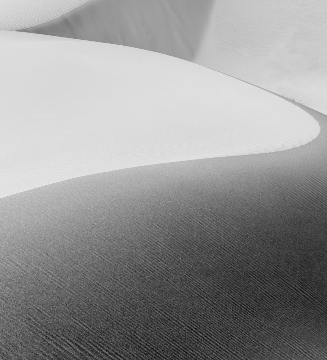 Soft curves of a sand dune in black and white